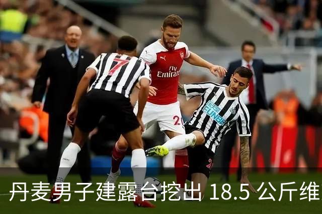 丹麦男子建露台挖出 18.5 公斤维京银器
