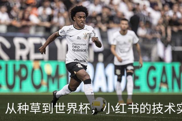从种草到世界杯，小红书的技术实力藏不住了