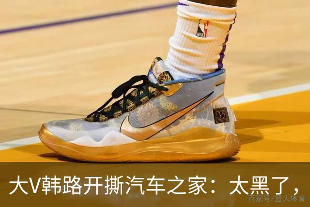 大V韩路开撕汽车之家：太黑了，借着我的名义坑了车企几百万