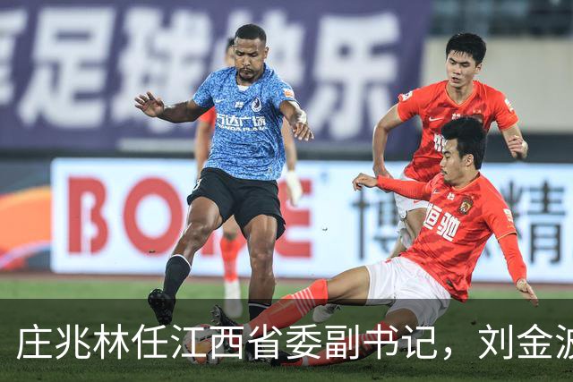 庄兆林任江西省委副书记，刘金波任省委常委、组织部部长