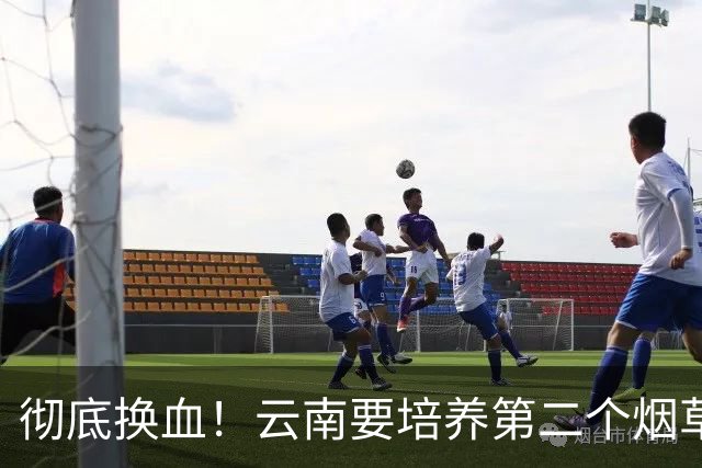 彻底换血！云南要培养第二个烟草产业，它够格接棒吗？