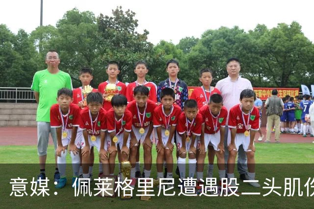 意媒：佩莱格里尼遭遇股二头肌伤病，初步预估将缺阵约四周