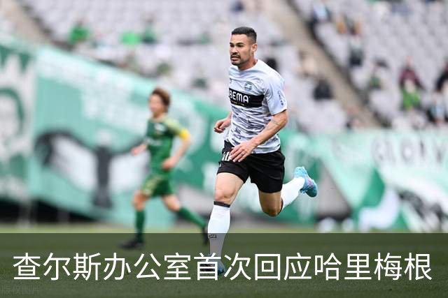 查尔斯办公室首次回应哈里梅根“王室迎接”：不认可，就是最强烈的立场