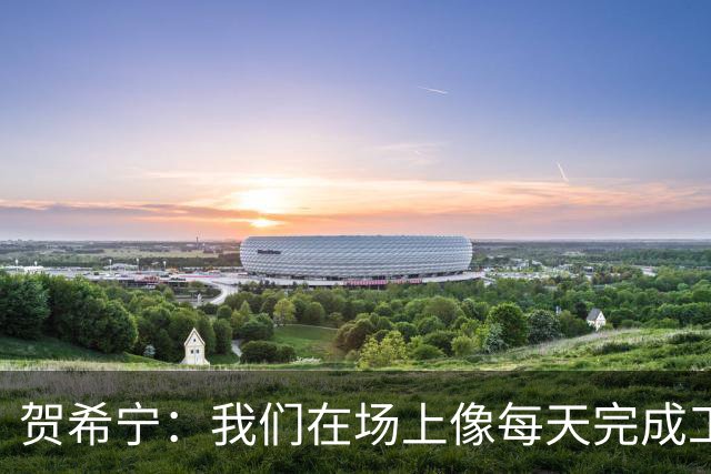 贺希宁：我们在场上像每天完成工作一样 完全可以干其他有意义的事