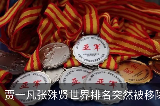 贾一凡/张殊贤世界排名突然被移除，26岁张殊贤退役传闻并非空穴来风