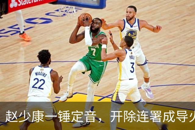 赵少康一锤定音，开除连署成导火索，郑丽文坐不住，谁在踢球？