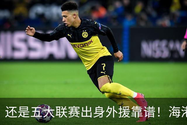 还是五大联赛出身外援靠谱！海港梅伦多 北京国安拉莫斯 深圳韦斯力 都打出高级货水平
